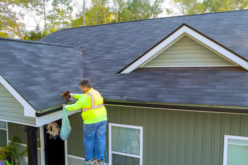 Gutter Painting Service