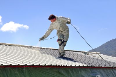 Metal Roof Painting